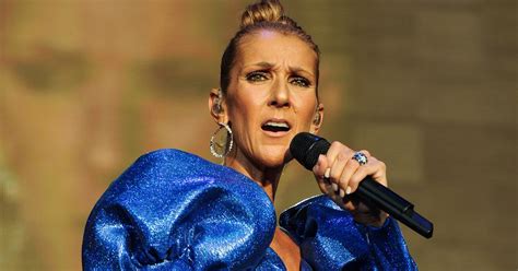 celine dion fake news|No, Celine Dion Didn't Die in a Plane Crash .